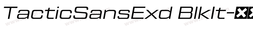 TacticSansExd BlkIt字体转换